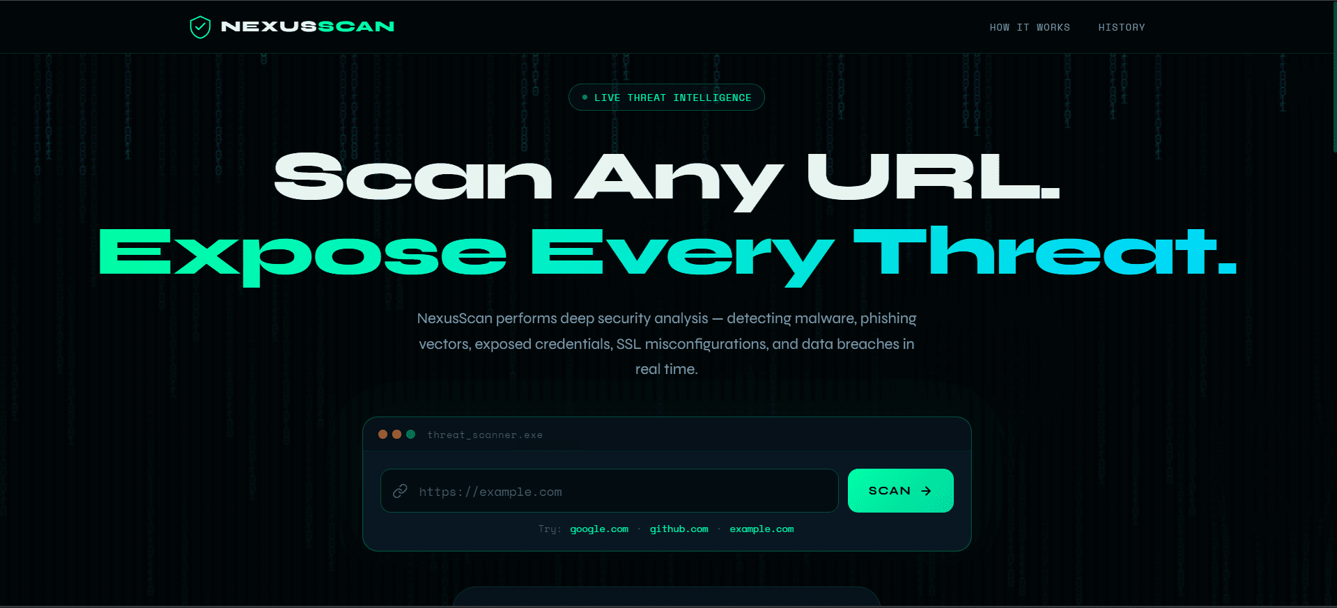 Screenshot of NEXUSSCAN